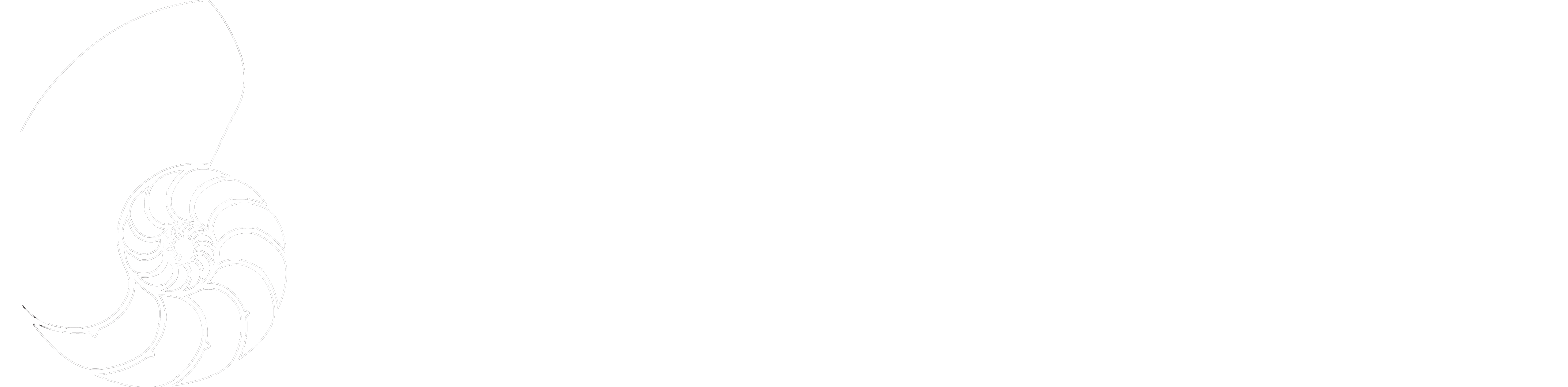 Body Dynamics