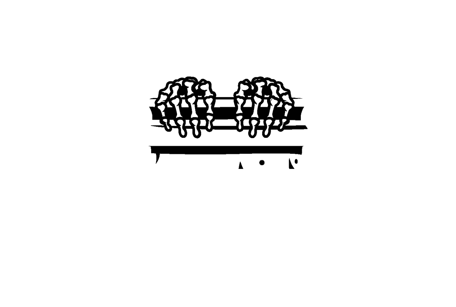 Sierra Custom Ink